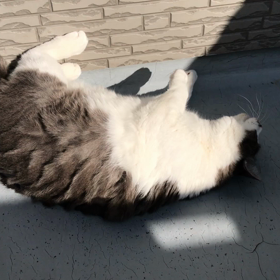 静電気。の画像
