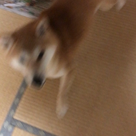 サッカー。の画像