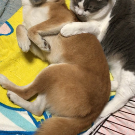 ヒーターの前で。の画像