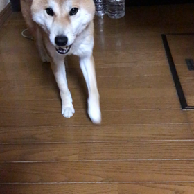 食べたいけど。の画像