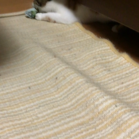 深夜に。の画像