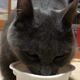 美味しいかった❣️の画像