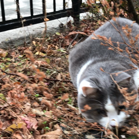 オレも。の画像