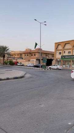サウジアラビア⑤の記事動画