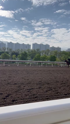 香港取材Day2 朝の調教の記事動画