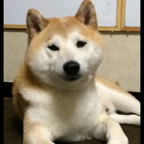 ご無沙汰過ぎました(笑)の画像
