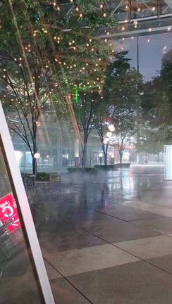 立秋、雷：神成からのメッセージ⚡の記事動画