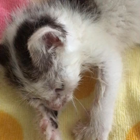 光のサムネイル画像