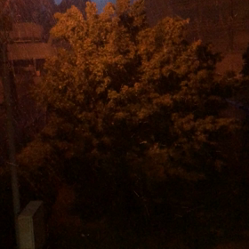 台風……。の画像