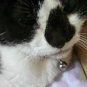 頑張れました！の画像