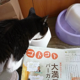 急に腰が…！の画像