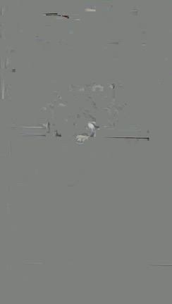 これからお風呂タイムの記事動画