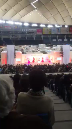 世界の蘭展の記事動画