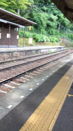 ただいま〜の記事動画