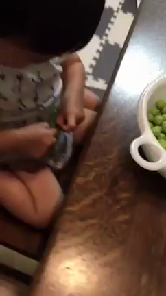 おまめの記事動画