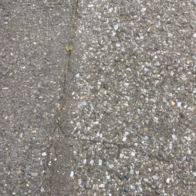 での画像