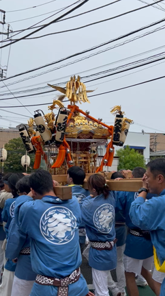 「フィオーレの森の前にお神輿が！」〜ちょうどいいタイミング！の記事動画
