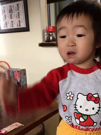【動画】お話が上手になってもベビーサインがふと出る時って？の記事動画