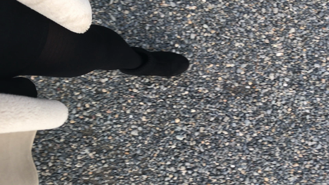 おまめの散歩。の記事動画