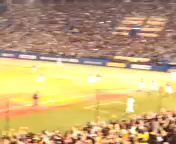圧勝。の記事動画