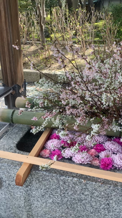 頭がパンパンな日々の記事動画