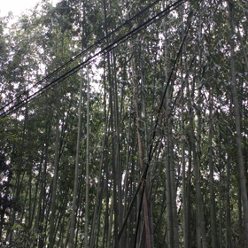 久しぶり〜番外編の画像
