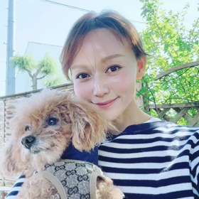 2023/10/15の画像