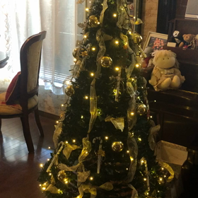 クリスマスツリーの画像