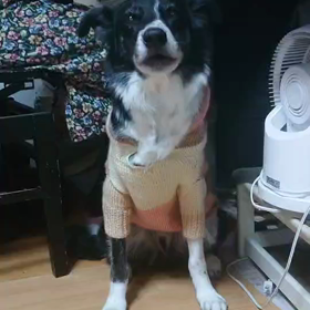 宇多、うたう？の画像