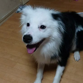 2021/10/17(日)の画像