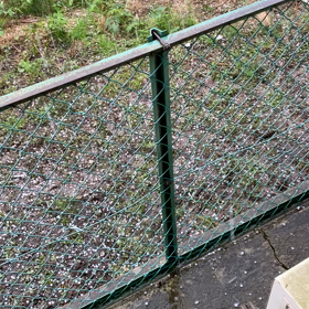 天気激変の画像