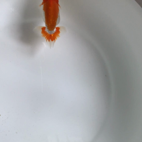 研究会の画像