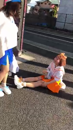 わっしょい！最後のわてだよの記事動画