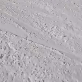 秋の気配の画像