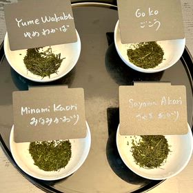 Tea Tasting & Tea Tasting Gameの画像