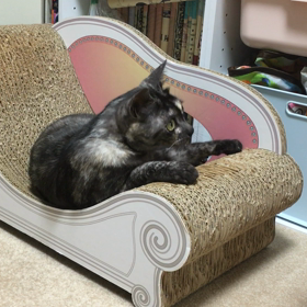 怠惰な遊び 〜転下系バージョン〜の画像