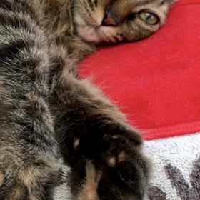 今日も今日とての画像