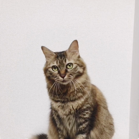 カシャカシャびょんびょんの画像