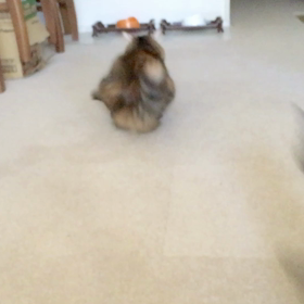 太陽の満ち欠けの画像