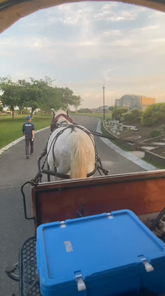 2023年ナイトローズガーデンとほたる馬車。の記事動画