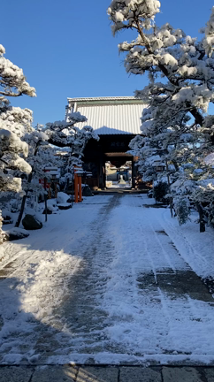 1/7 本当にすごい雪になりました　英語日記の記事動画
