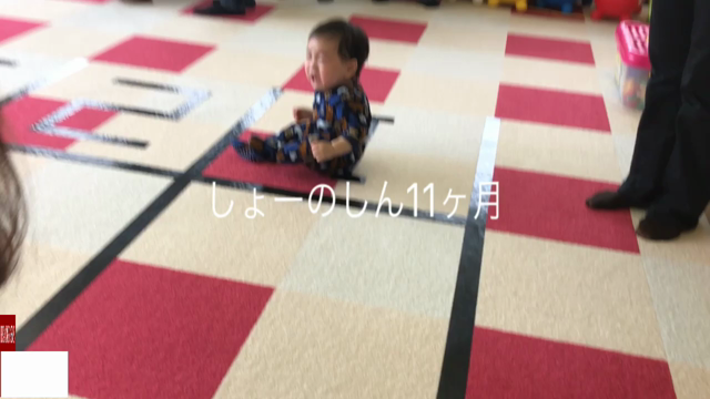 まさかの…ハイハイレース参戦記録の記事動画