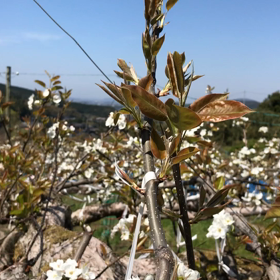 2020/04/08の画像