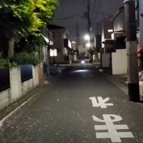 卑ではないの画像