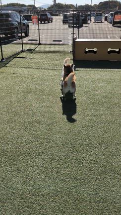 今年やめることの記事動画