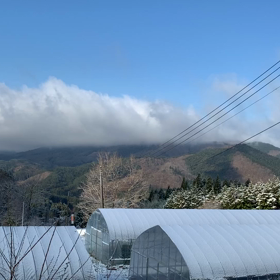 中古住宅に住みながらリホームする　23の画像