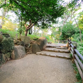 朝散歩したわの画像