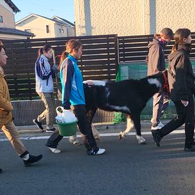 車にきをつけながら、あと少しの画像