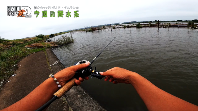 アユサンの今週の霞水系！UPしました！の記事動画