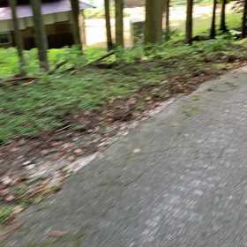 廃村　多賀　保月　続きの画像